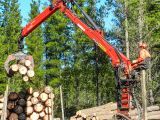 Palfinger Tomruk Yükleme Vinç Q170L104