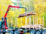 Palfinger Tomruk Yükleme Vinç Q170Z95TR