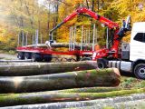 Palfinger Tomruk Yükleme Vinç S270L130